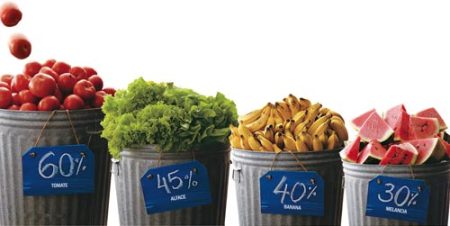 porcentagem-de-desperdicio-dos-alimentos