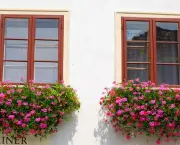 janelas-com-flores-15