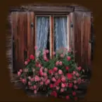 janelas-com-flores-4