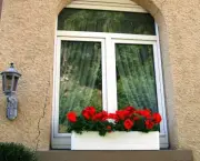 janelas-com-flores-7