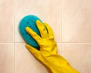 Como-limpar-entre-os-azulejos-do-banheiro-3