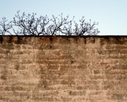 Muro de Casa (1)