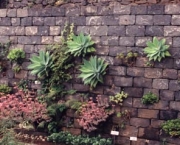paredes-com-plantas-1