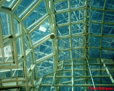 telhado-de-vidro-6