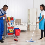 Dicas Para Fazer Limpeza em Apartamentos (17)