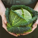 Como Cultivar Alimentos Orgânicos (2)