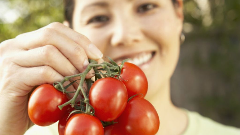 Como Cultivar Alimentos Orgânicos (17)
