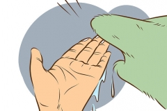 Como Remover Veda Calha das Mãos (6)