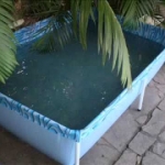 limpar-piscina-de-plastico (11)