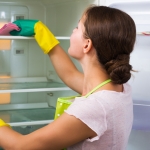 Limpeza e Organização da Geladeira (7)