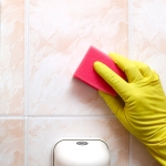 Cleaner with gloves  and red sponge