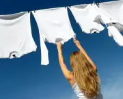 Como Lavar a Seco (16)