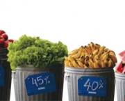 porcentagem-de-desperdicio-dos-alimentos