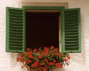 janelas-com-flores-12