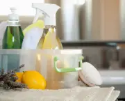 limpar-a-casa-com-produtos-naturais (4)