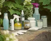 limpar-a-casa-com-produtos-naturais (10)