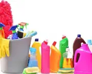 limpar-a-casa-com-produtos-naturais (13)