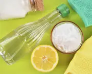 limpar-a-casa-com-produtos-naturais (14)