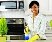 limpar-a-casa-com-produtos-naturais (15)