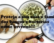 Manter a Casa Livre de Bactérias (1)