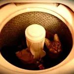 Dicas Para Lavar Roupa na Máquina (8)