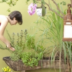 Como Criar Um Espaço com Plantas em Casa (3)