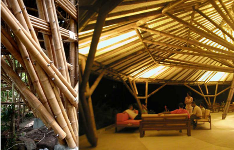 Uso do Bambu (1)
