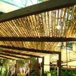 Uso do Bambu (3)